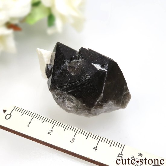 츩 󥴡 - ꥪ(徽)ХȤθ No.5μ̿3 cute stone