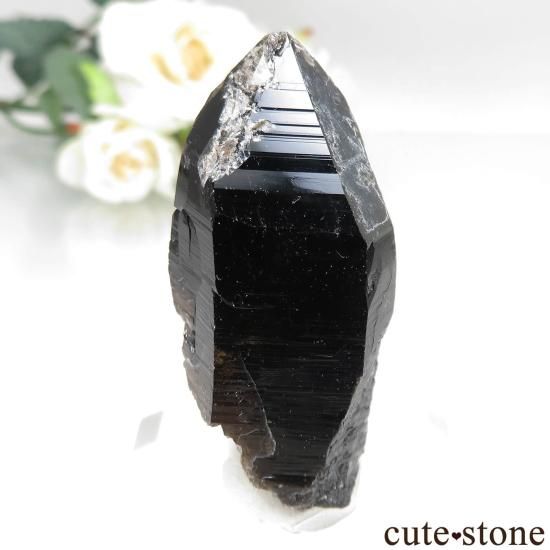 츩 󥴡 - ꥪ(徽)θ No.6