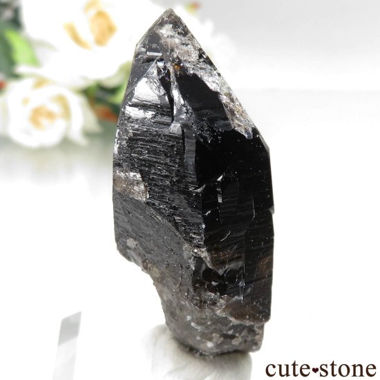 츩 󥴡 - ꥪ(徽)θ No.6μ̿0 cute stone