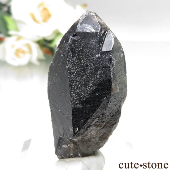 츩 󥴡 - ꥪ(徽)θ No.6μ̿1 cute stone