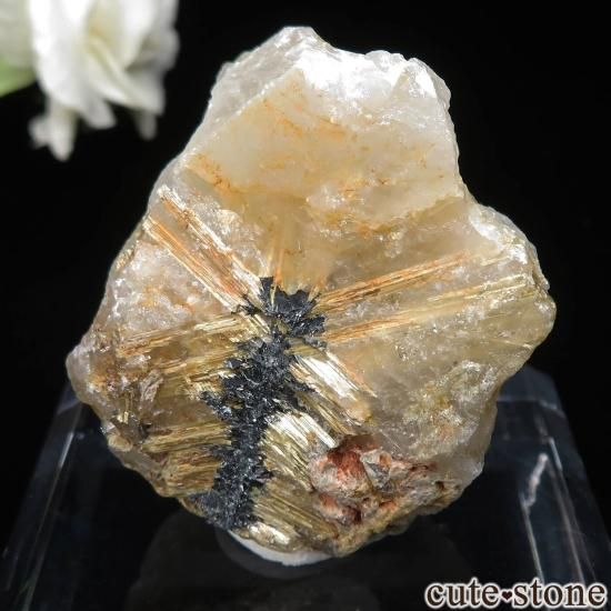 ֥饸 Х ĤθСۥ No.18