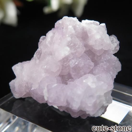 ꥾ʽ Tombstone Hills ѡץե饤Ȥθ No.1μ̿1 cute stone