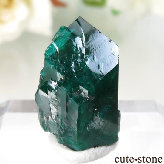 コンゴ共和国 Mindouli産 ダイオプテーズの原石 No.15 - cute