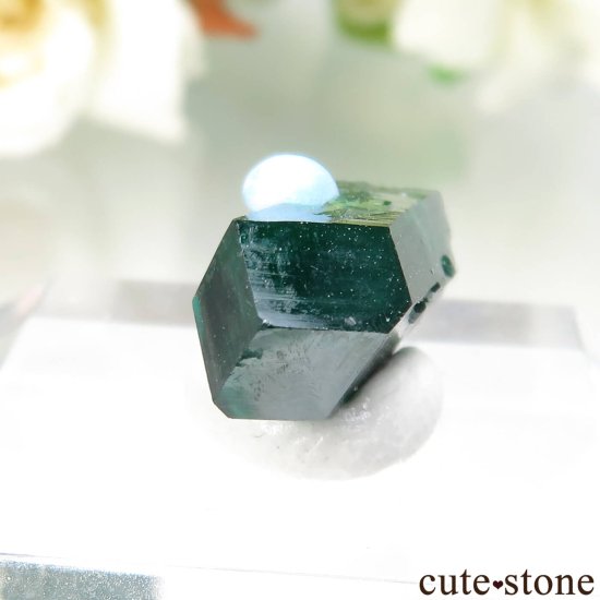 󥴶¹ Mindouli ץơץȤθ No.17μ̿0 cute stone