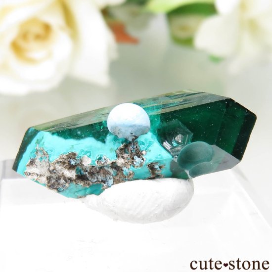 󥴶¹ Mindouli ץơץȤθ No.17μ̿1 cute stone
