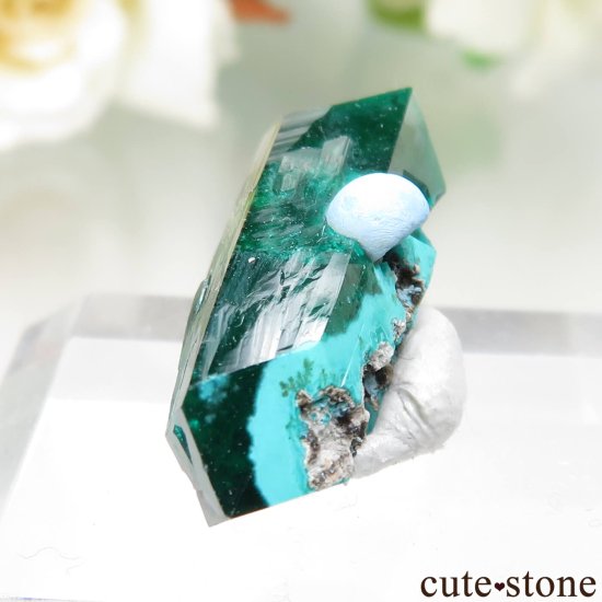 󥴶¹ Mindouli ץơץȤθ No.17μ̿2 cute stone