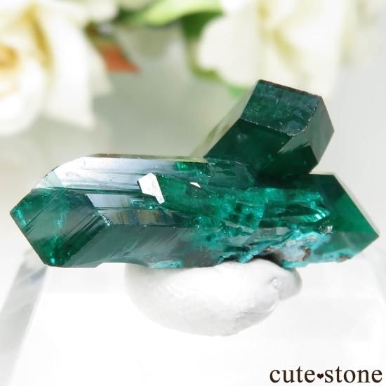 󥴶¹ Mindouli ץơץȤθ No.18μ̿1 cute stone