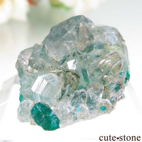 󥴶¹ Mindouli ץơĤθ No.19μ̿2 cute stone
