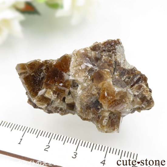 アメリカ オハイオ州産 フローライトの母岩付き原石 No.11の写真3 cute stone