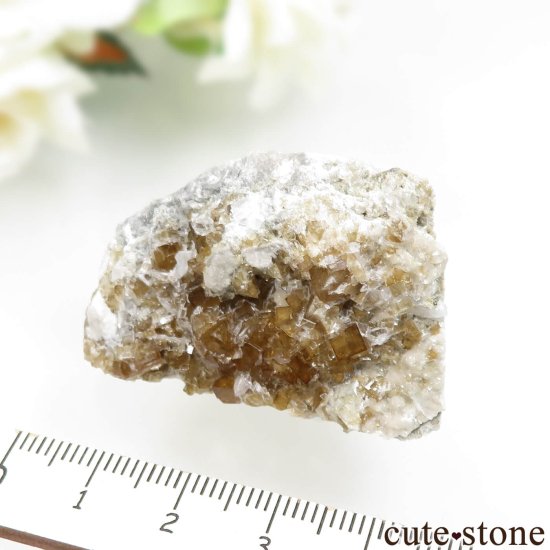 アメリカ オハイオ州産 フローライトの母岩付き原石 No.13の写真2 cute stone