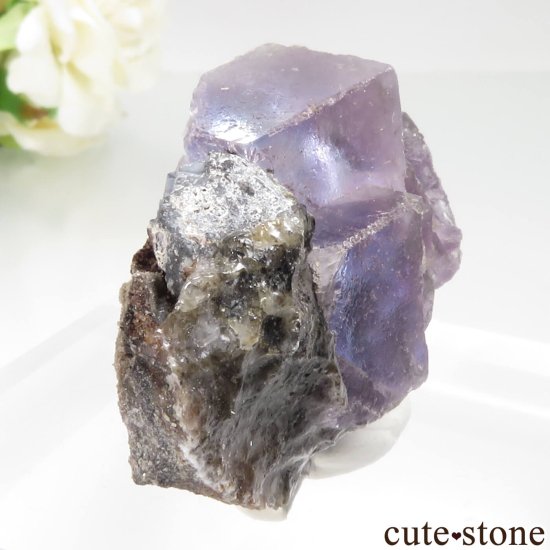 ᥭ Ojuela Mine (ϥ) ե饤Ȥθ No.12μ̿0 cute stone