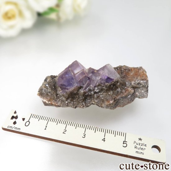 ᥭ Ojuela Mine (ϥ) ե饤Ȥθ No.12μ̿5 cute stone