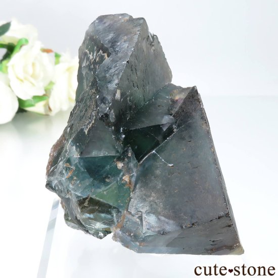 ʥߥӥ Okorusu Mine ե饤Ȥθ No.34μ̿1 cute stone