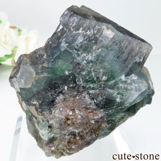 ʥߥӥ Okorusu Mine ե饤Ȥθ No.34μ̿2 cute stone