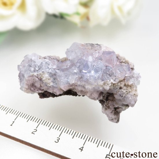 ɥ Mittelbergʥ֥åե쥹ȡ˥ե饤Ȥθ No.1μ̿3 cute stone