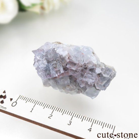 ɥ Mittelbergʥ֥åե쥹ȡ˥ե饤Ȥθ No.2μ̿4 cute stone