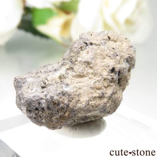 ɥ In den Dellen ʥȤθ No.1μ̿1 cute stone