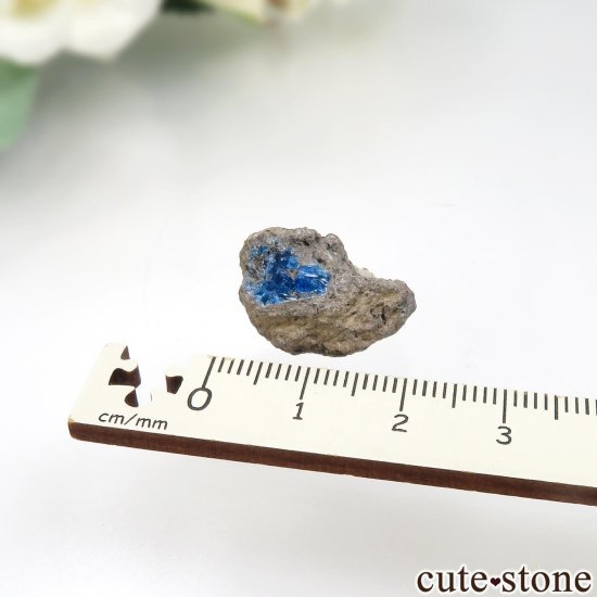 ɥ In den Dellen ʥȤθ No.1μ̿3 cute stone