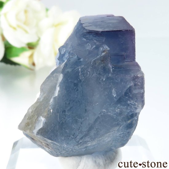ꥫ ˥塼ᥭ Bingham ֥롼ե饤Ȥθ No.30μ̿0 cute stone