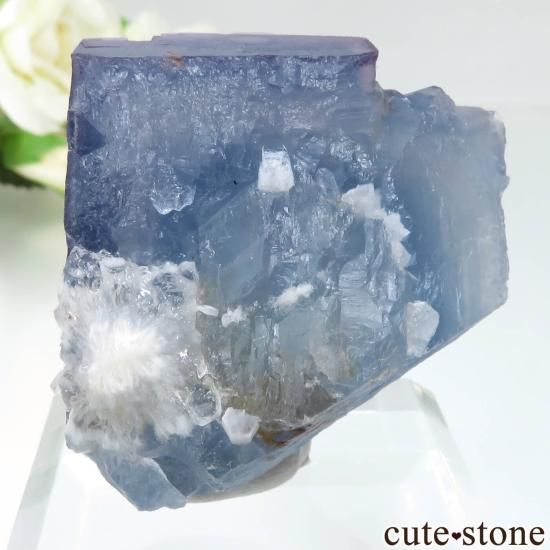 ꥫ ˥塼ᥭ Bingham ֥롼ե饤Ȥθ No.30μ̿1 cute stone