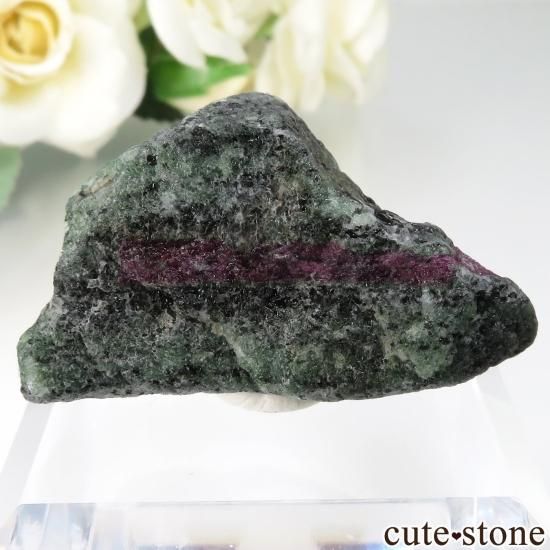 󥶥˥ Longido ӡ  Ȥθ No.3