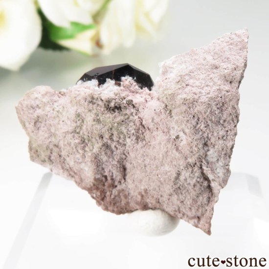 ꥫ ͥХ Garnet Hill ڥƥ󥬡ͥåȡĤθ No.2μ̿1 cute stone