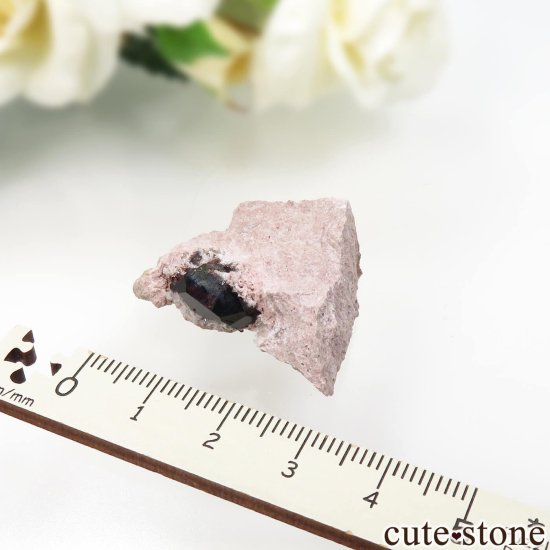 ꥫ ͥХ Garnet Hill ڥƥ󥬡ͥåȡĤθ No.2μ̿2 cute stone
