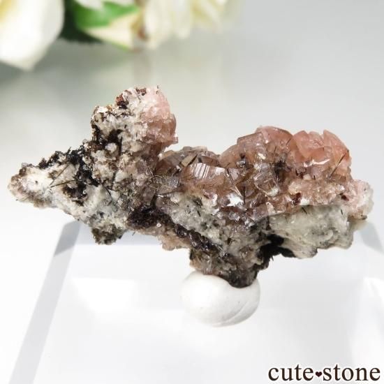 ʥ Mont Saint-Hilaire Ȥθ No.1μ̿1 cute stone