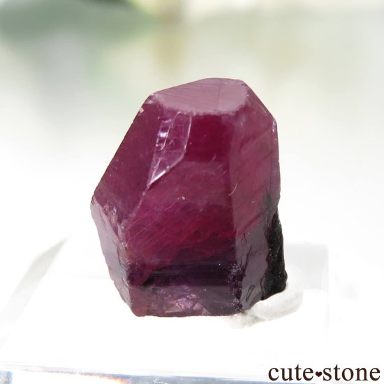⥶ӡ ʥӡ - եˤθ No.1μ̿1 cute stone