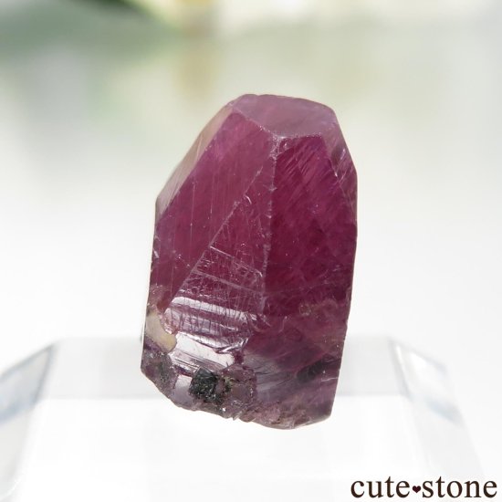 ⥶ӡ ʥӡ - եˤθ No.1μ̿2 cute stone