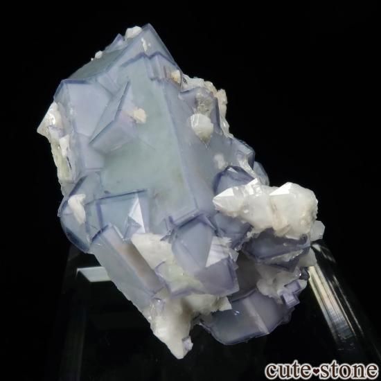 䥪󥷥 ե饤ȡʥݡˤθ No.85μ̿0 cute stone