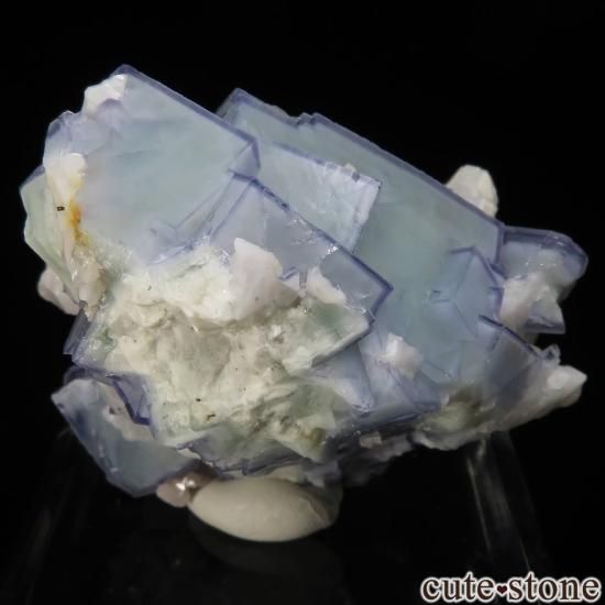 䥪󥷥 ե饤ȡʥݡˤθ No.85μ̿1 cute stone