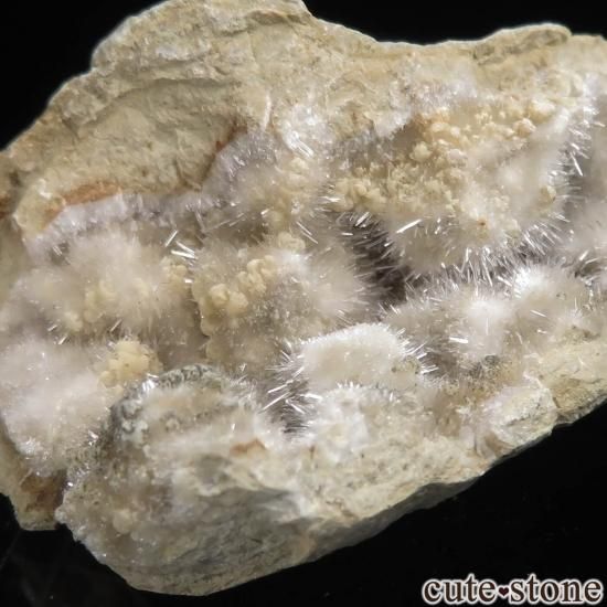 ꥢ Levane ȥʥۥ饤ȡ饴ʥȤθСʥڥNo.6μ̿0 cute stone