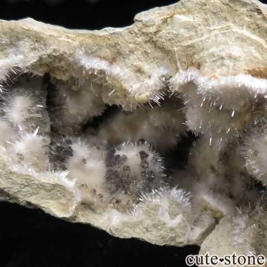 ꥢ Levane ȥʥۥ饤ȡ饴ʥȤθСʥڥNo.6μ̿1 cute stone