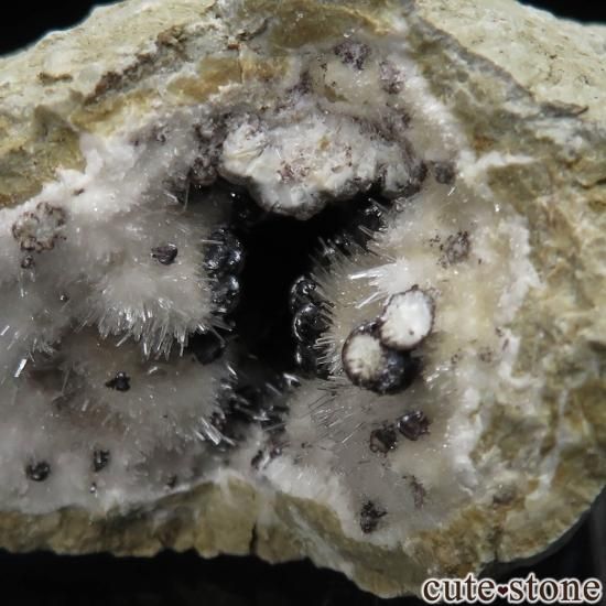 ꥢ Levane ȥʥۥ饤ȡ饴ʥȤθСʥڥNo.7μ̿1 cute stone