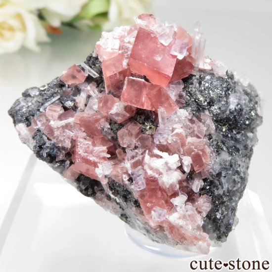 Sweet Home Mine ɥȡե饤ȡġѥ饤Ȥθ No.16μ̿6 cute stone
