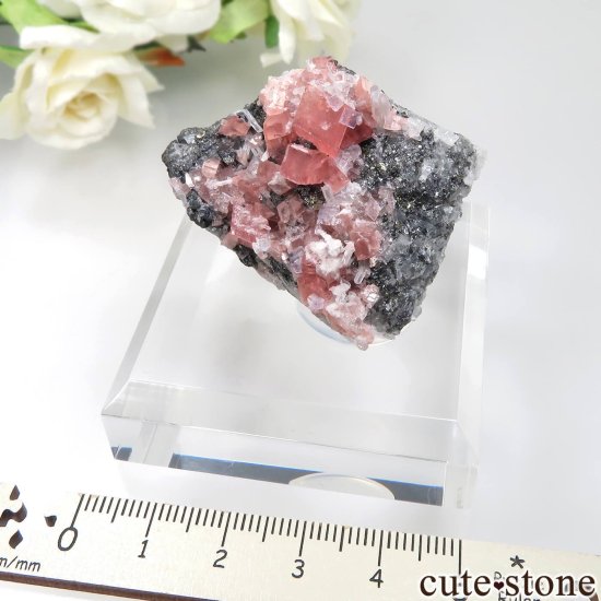 Sweet Home Mine ɥȡե饤ȡġѥ饤Ȥθ No.16μ̿7 cute stone