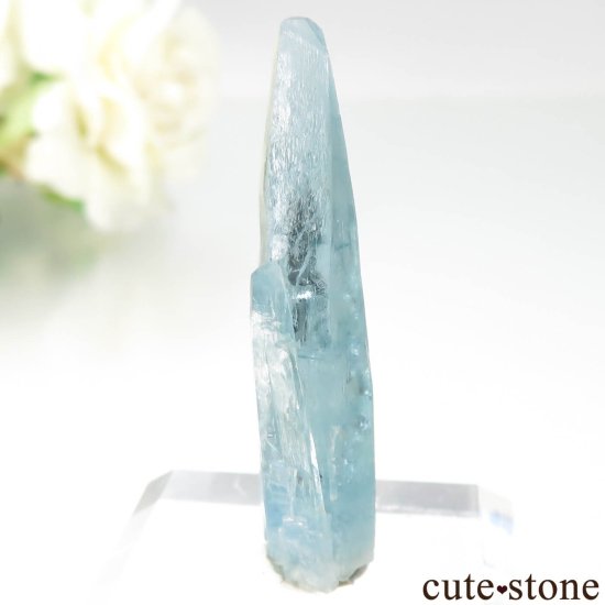 ֥饸 Mimoso do Sul ޥʥܥȥˤθ No.10μ̿0 cute stone