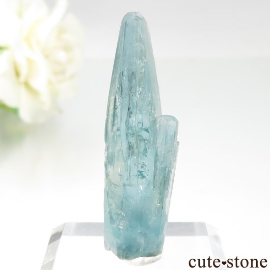 ֥饸 Mimoso do Sul ޥʥܥȥˤθ No.10μ̿1 cute stone