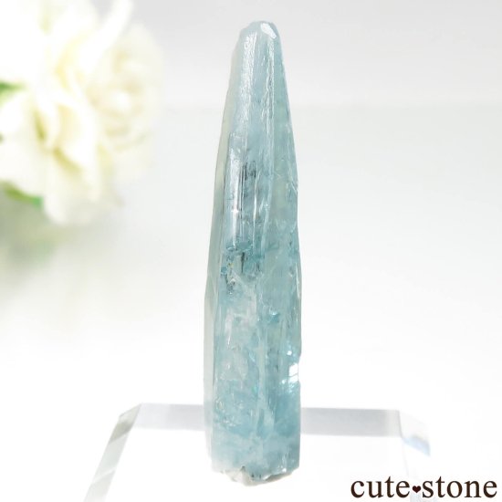 ֥饸 Mimoso do Sul ޥʥܥȥˤθ No.10μ̿2 cute stone