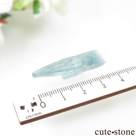 ֥饸 Mimoso do Sul ޥʥܥȥˤθ No.10μ̿3 cute stone