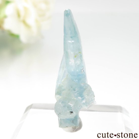 ֥饸 Mimoso do Sul ޥʥܥȥˤθ No.11μ̿0 cute stone