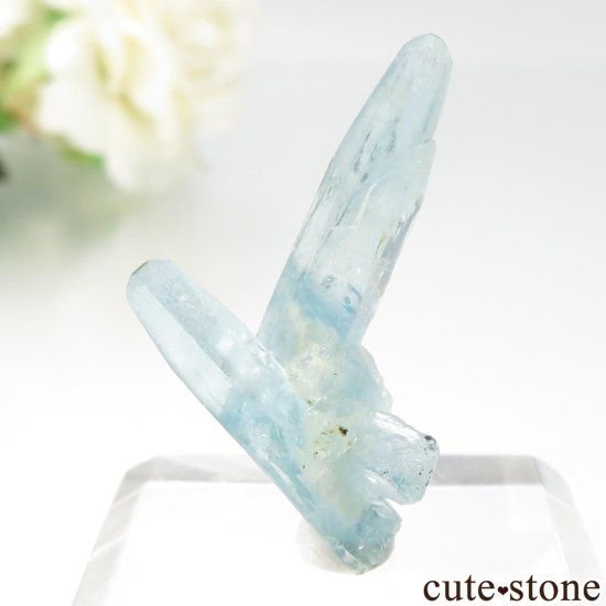 ֥饸 Mimoso do Sul ޥʥܥȥˤθ No.11μ̿1 cute stone