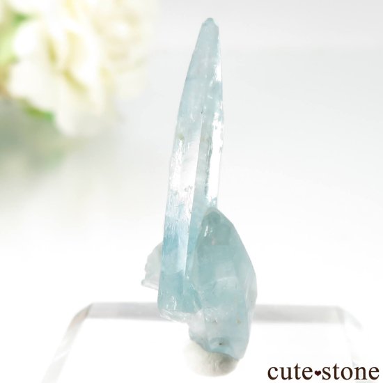 ֥饸 Mimoso do Sul ޥʥܥȥˤθ No.11μ̿2 cute stone