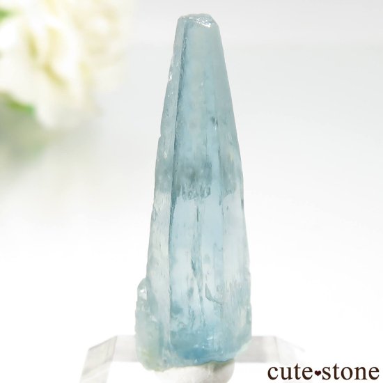 ֥饸 Mimoso do Sul ޥʥܥȥˤθ No.12μ̿1 cute stone