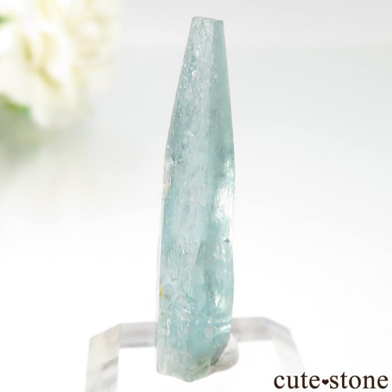 ֥饸 Mimoso do Sul ޥʥܥȥˤθ No.12μ̿2 cute stone