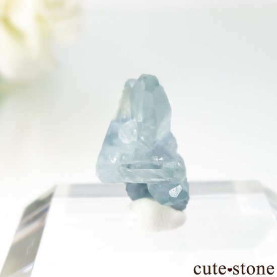 ֥饸 Mimoso do Sul ޥʥܥȥˤθ No.13μ̿0 cute stone