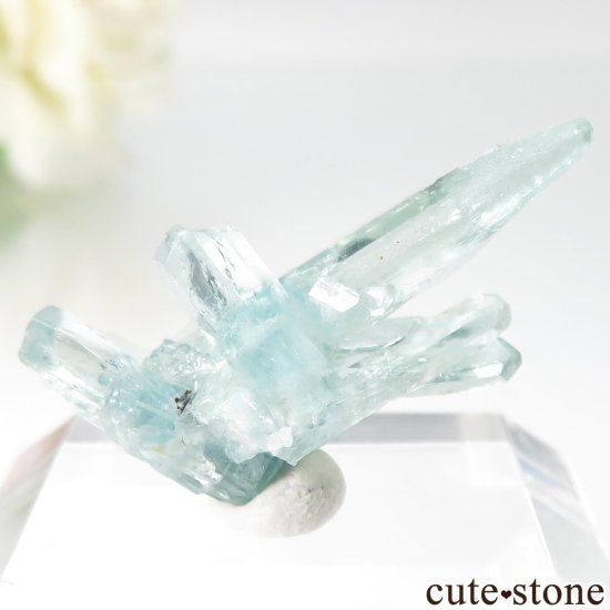 ֥饸 Mimoso do Sul ޥʥܥȥˤθ No.13μ̿1 cute stone