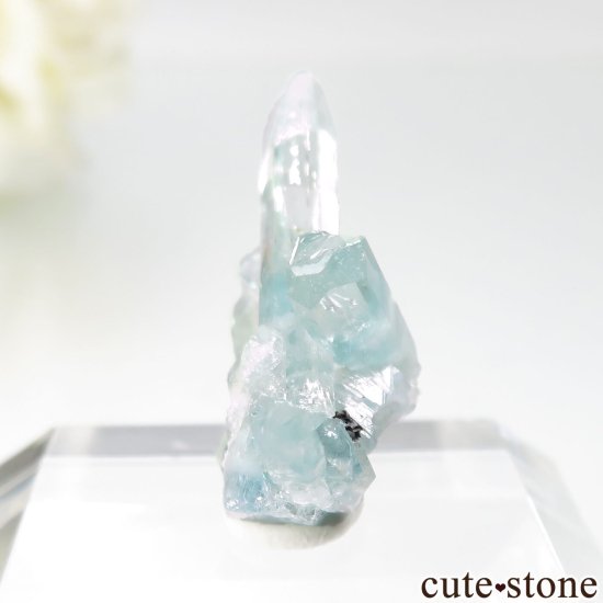 ֥饸 Mimoso do Sul ޥʥܥȥˤθ No.13μ̿2 cute stone