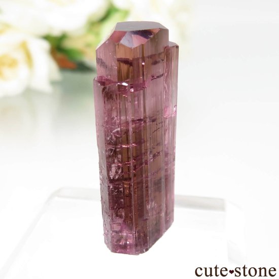  Malkhan ȥޥθ No.6μ̿0 cute stone